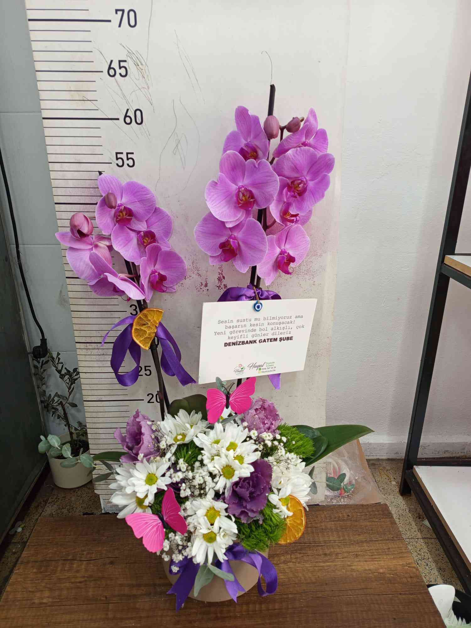 Çift dal mor Orkide arajmanı