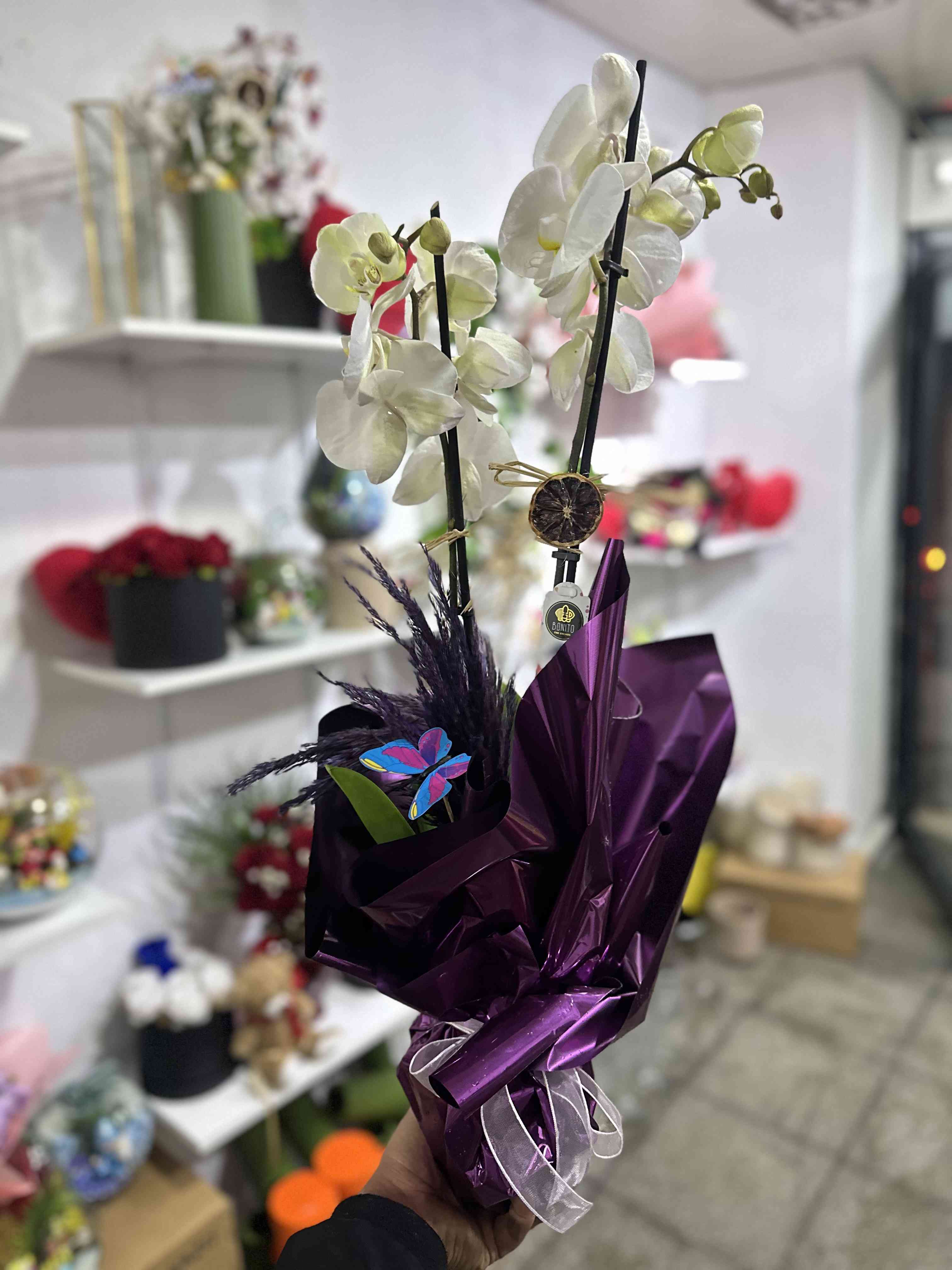 Nizip çiçekçi ÇİFT DAL ORKİDE 