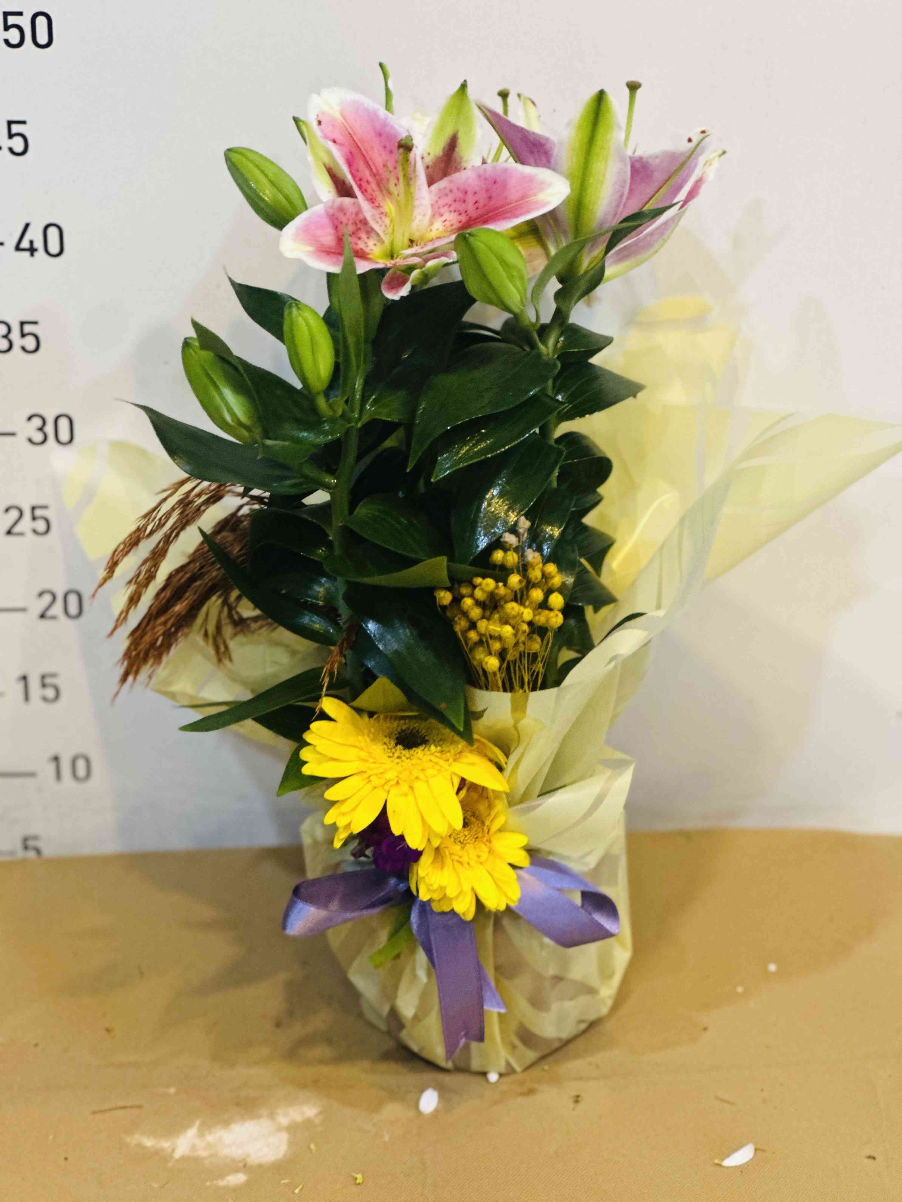 SAKSI VE SALON BİTKİLERİ 